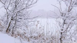 ЗИМНЕЕ НАСТРОЕНИЕ! До слез красивая мелодия! Одна из самых красивых,волшебных зимних мелодий