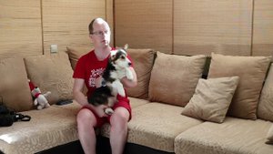 Щенку корги 6 месяцев!