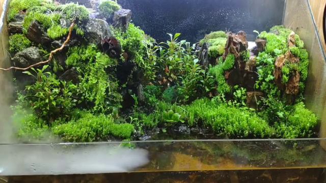 Акватеррариум с двумя водопадами - Making an Aquaterrarium with two flowing waterfalls