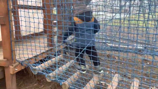 Зеленый маршрут. Разминка. Подготовка к битве наций. смотреть онлайн