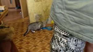 Изготовление свинцовой пули шар 20 калибра с помощью ковша тигеля