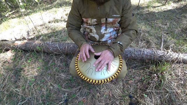 Лепестковый барабан. Глюкофон. Музыка.