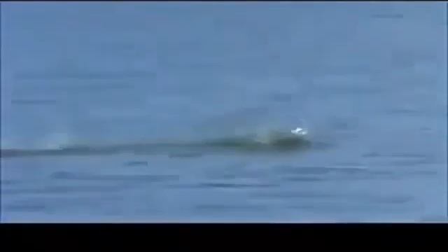 Это танец от уток лезгинка смотреть онлайн