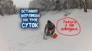 Такого я не ожидал! Оставил жерлицы на трое суток