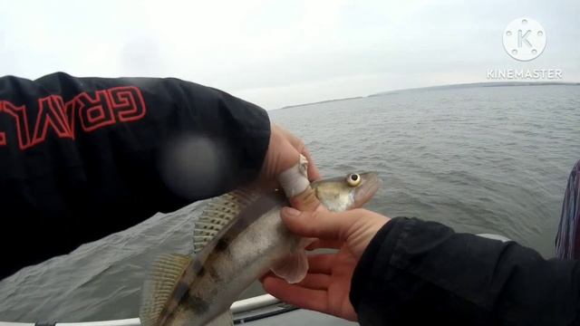 Открытие лодочного сезона в Саратове 30.03.2023.г. смотреть онлайн