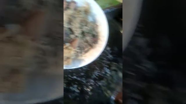 Грунт для Антуриума. смотреть онлайн