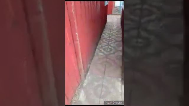 Смотрел всё что у меня есть рядом с домом смотреть онлайн