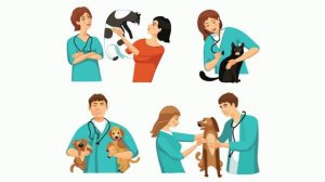 Доктор, лечащий зверей