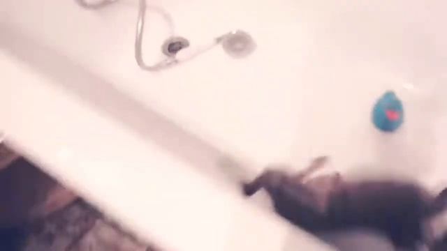 ТАЙНАЯ ЖИЗНЬ ЖИВОТНЫХ /КОШКИ И СОБАКИ/ смотреть онлайн