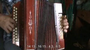 Травы, травы с нотами в цифрах