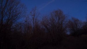 Неудачи охотника с ружьем Impala Plus. Добыча уток. Охота поздней осенью