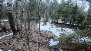 Нашёл в лесу сброс АКБ/Шестерёнки/Траки/Балансир  #КопМеталлавлесу