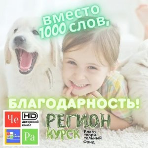 «Вместо 1000 слов, благодарность!» _ благотворительный фонд "Регион Курск"
