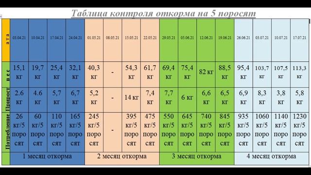Хорошо заработал на откорме поросят. Вес хрюшки перед забоем и выход мяса.