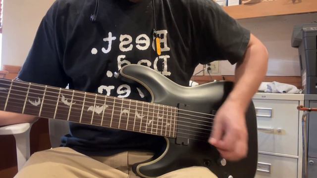 Schecter Damien Platinum 8 String Electric Guitar Functional Demo for Inline Sales смотреть онлайн