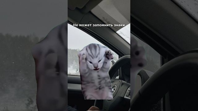 Получи права в автошколе Мегаскилл
