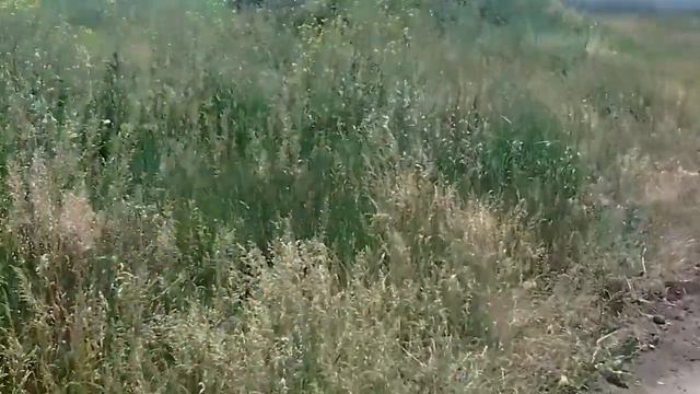 Сбитый вертолет 29 05 2014 время 10 00 смотреть онлайн