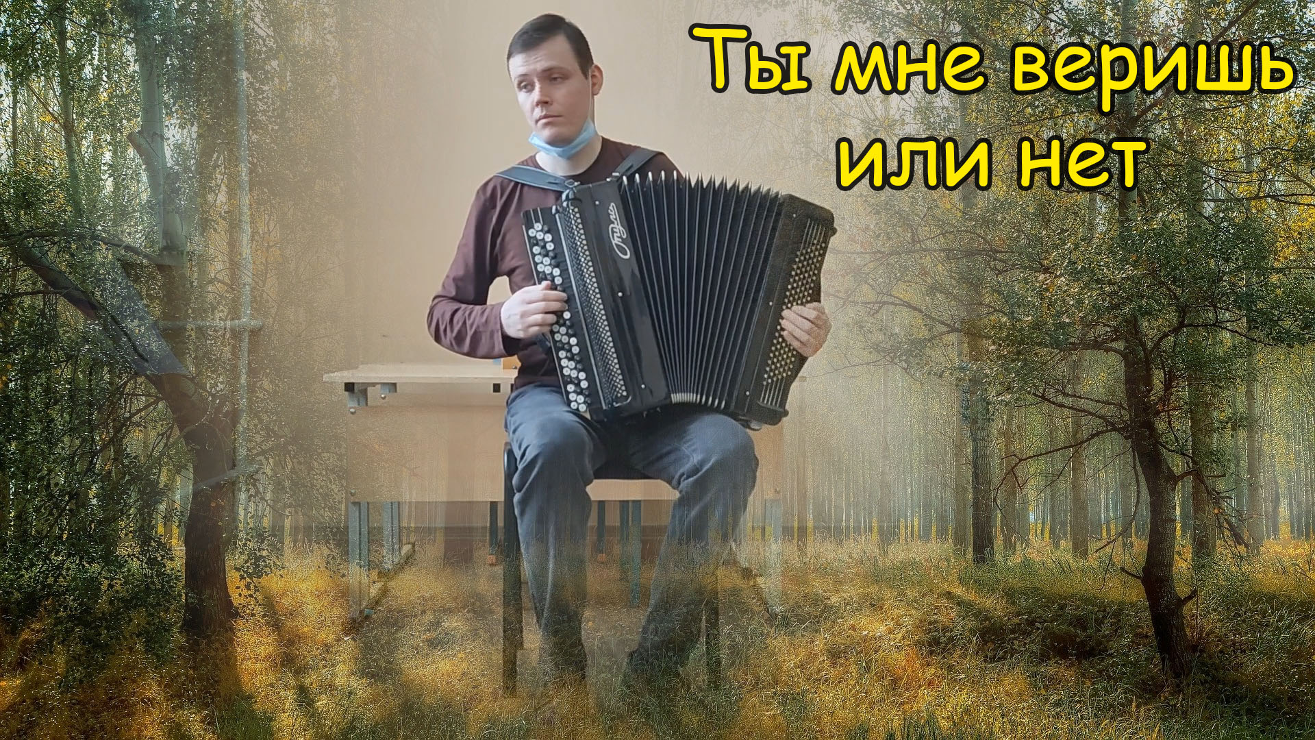 Баянист песня