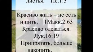 Красиво жить не запретишь.  Стих Игнатия Лапкина