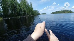 Клюнули две щуки. Сломал спиннинг. Рыбалка с лодки в июле.