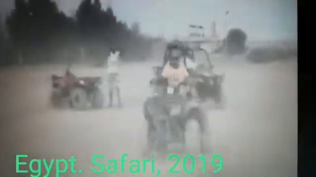 Сафари  Египет 2019 г.