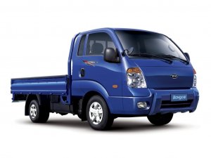 Катализаторы от Kia Bongo