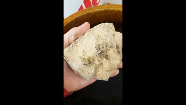 Planting a Flower Pot смотреть онлайн