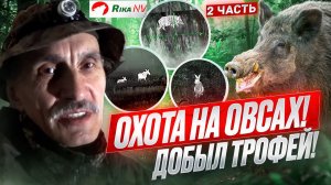 Охота на овсах! Добыл зверя в угодьях! Игорь Кроль про нюансы охоты на овсах. Часть 2