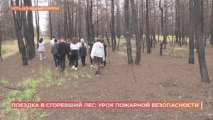 Урок лесной пожарной безопасности для детей