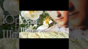 Белые розы МИНУСОВКА