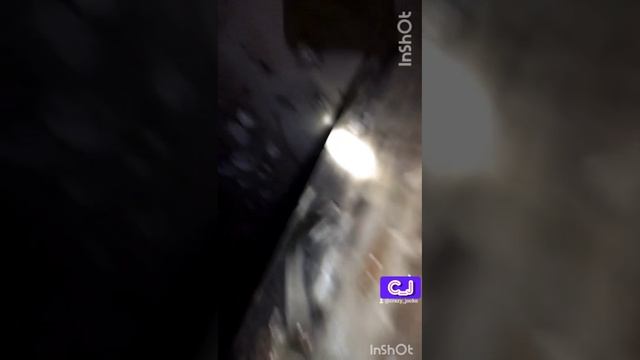 катакомбы шахта-дигер
