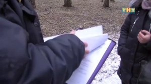 За выгул собак без намордников и поводков - штраф