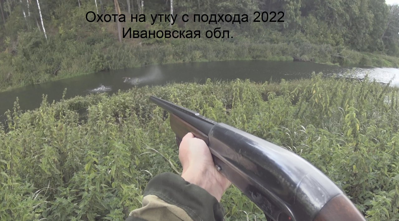 Охота на утку с подхода 2022