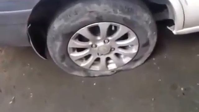 На мужика напали пчёлы смотреть онлайн