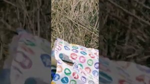 Посадила веточки вербы