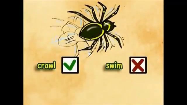 Урок 32 (урок 10а "Clever animals!" по модулю 5 "Furry friends!" учебника Spotlight 3 класс) смотреть онлайн