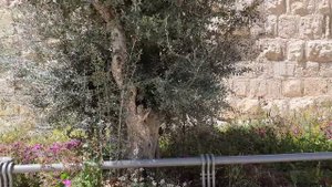 JERUSALEM PRAYER WALK. МОЛИТВА ВОКРУГ ИЕРУСАЛИМА.