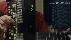 Сектор Газа "Бомж" на баяне. Смотреть всем!