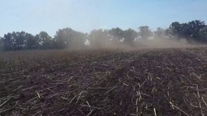 Джон Дир 8310R Грегори Бессон по подсолнуху