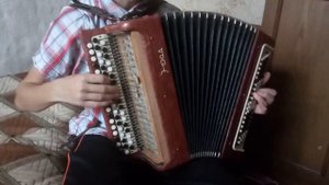 Звери - районы кварталы (кавер на баяне)