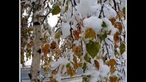Первый снег Рома Жуков минусовка