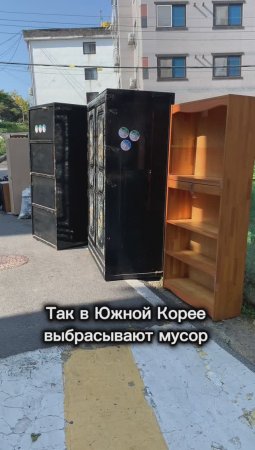 Так выбрасывают мусор в Южной Корее