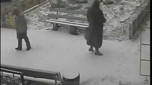 СОСЕД  ЦЫГАНОЧКА С ВЫХОДОМ НА СНЕГУ