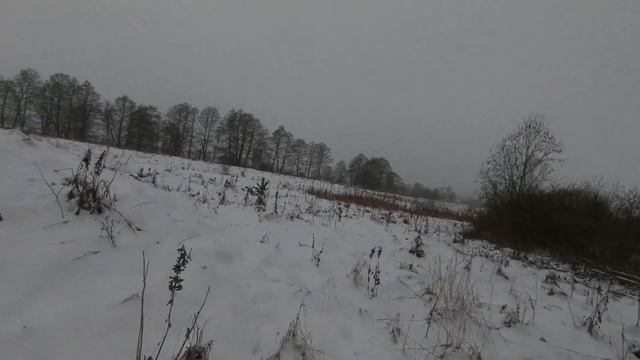 Беларусь закрытие на зайца ! смотреть онлайн