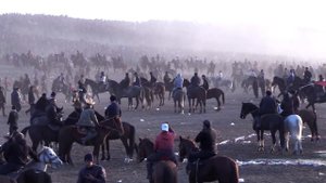 Мирсодик полвон Бохром Комолвни Бойсун отида 45 та жонлик ва европага 2 кишилик саёхат