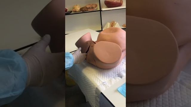 Внутреннее акушерское исследование