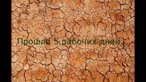 Шумоизоляция квартиры мембранами Липлент ( Мосфильмовская 74 )