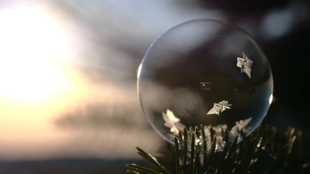 Могут повлечь негативные последствия; Какие продукты не стоит есть в больших количествах смотреть онлайн