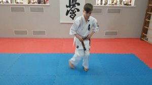 Базовые блоки в киокушин карате. Часть 4. Kyokushin karate basic blocks, Part 4.