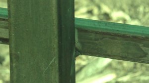 Как порошковая проволока в деле? Мой опыт лично для Вас.